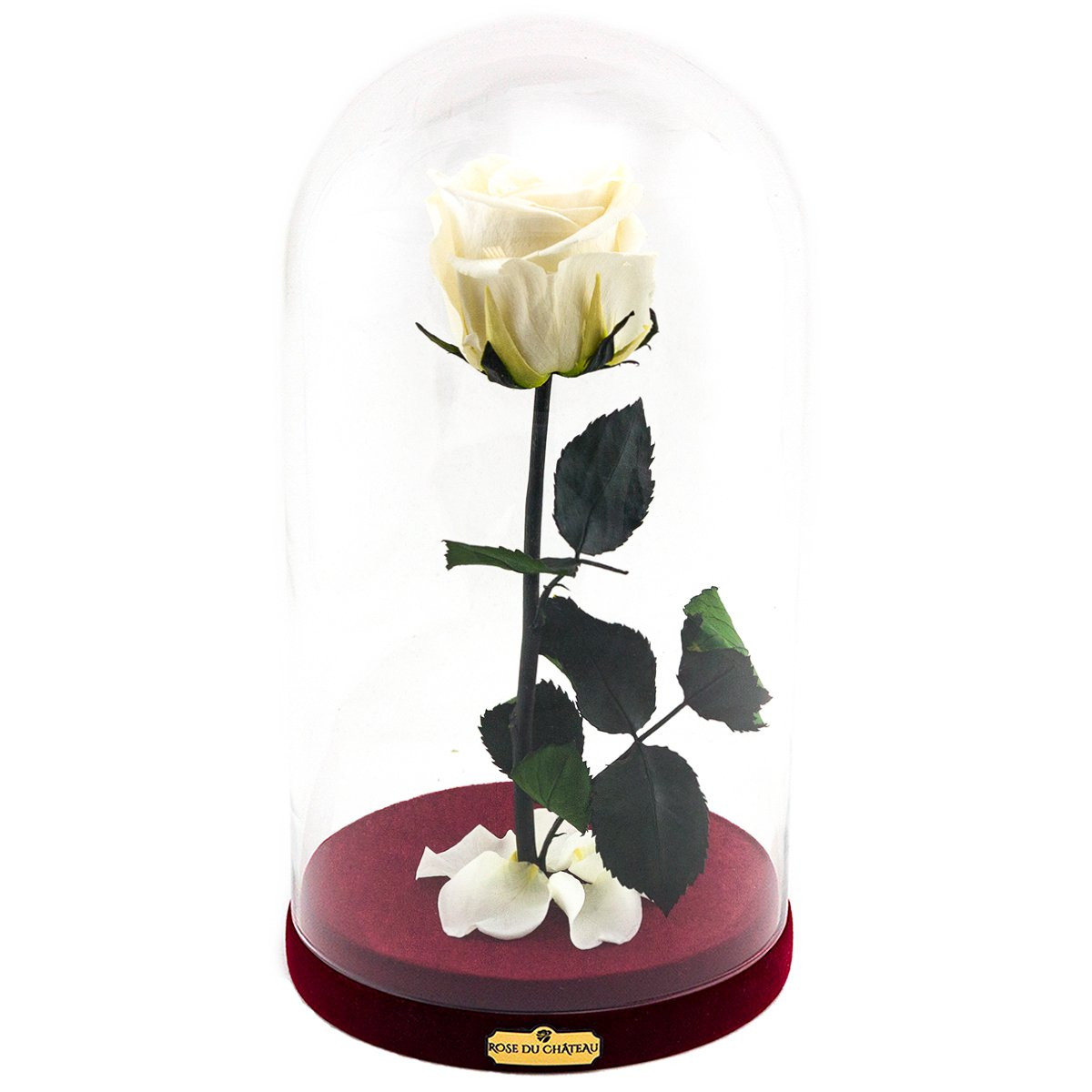 Rosa eterna bianca la bella e la bestia  Negozio di fiori online Rose du  Château