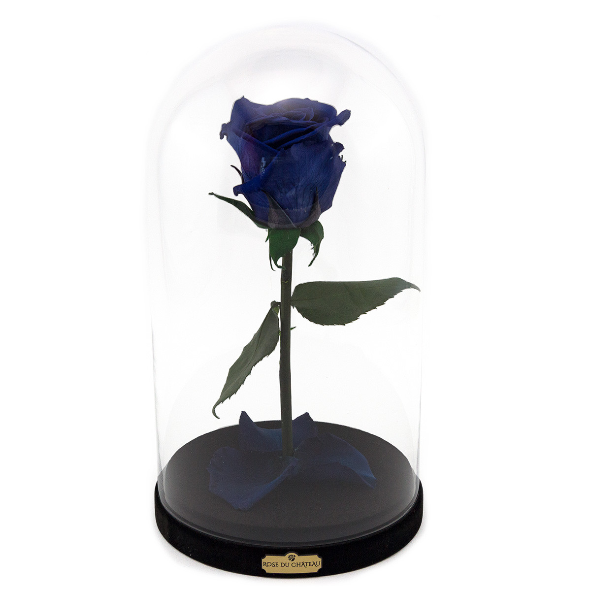 Rosa eterna blu la bella e la bestia  Negozio di fiori online Rose du  Château
