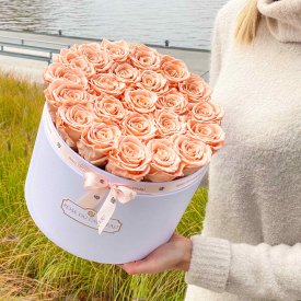 Rose eterne crema in flowerbox bianco grande