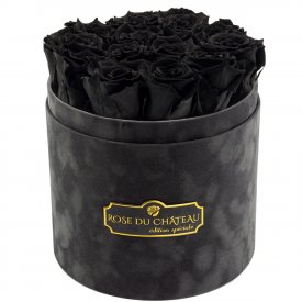 Rose eterne nere in flowerbox floccato antracite