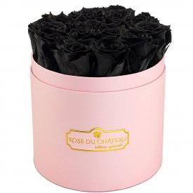 Rose eterne nere in flowerbox rosa