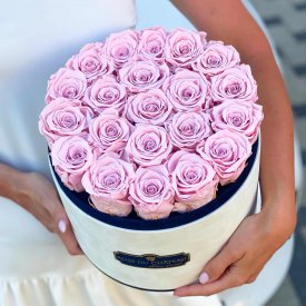 Rose eterne rosa pallido in flowerbox marmo bianco grande