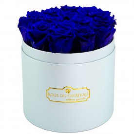 Rose eterne blu in flowerbox azzurro