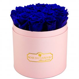 Rose eterne blu in flowerbox rosa