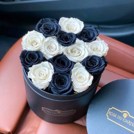 Rose eterne bianco & nero in flowerbox tondo nero