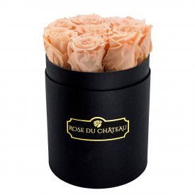 Rose eterne crema in flowerbox nero piccolo
