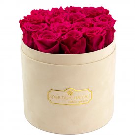 Rose eterne rosa in flowerbox floccato beige