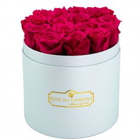 Rose eterne rosa in flowerbox azzurro