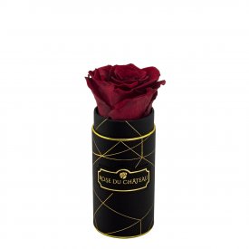 Rosa eterna rossa in flowerbox industriale nero mini