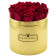 Rose eterne rosse in flowerbox oro