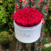 Rose eterne rosa in flowerbox bianco grande