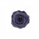Rose eterna grigia in flowerbox nero mini