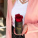 Rose eterna rossa in flowerbox nero mini
