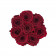 Rose eterne rosse in flowerbox nero piccolo