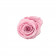 Rosa eterna rosa pallido in flowerbox nero mini