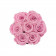 Rose eterne rosa pallido in flowerbox nero piccolo