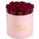 Rose eterne rosse in flowerbox rosa