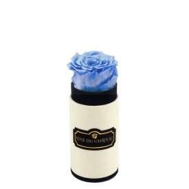 Azurblaue Ewige Rose in COCO BEFLOCKTER Mini Rundbox