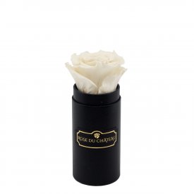 Weiße Ewige Rose in schwarzer Minibox