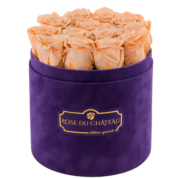 Teefarbene Ewige Rosen in violetter Beflockter Rosenbox