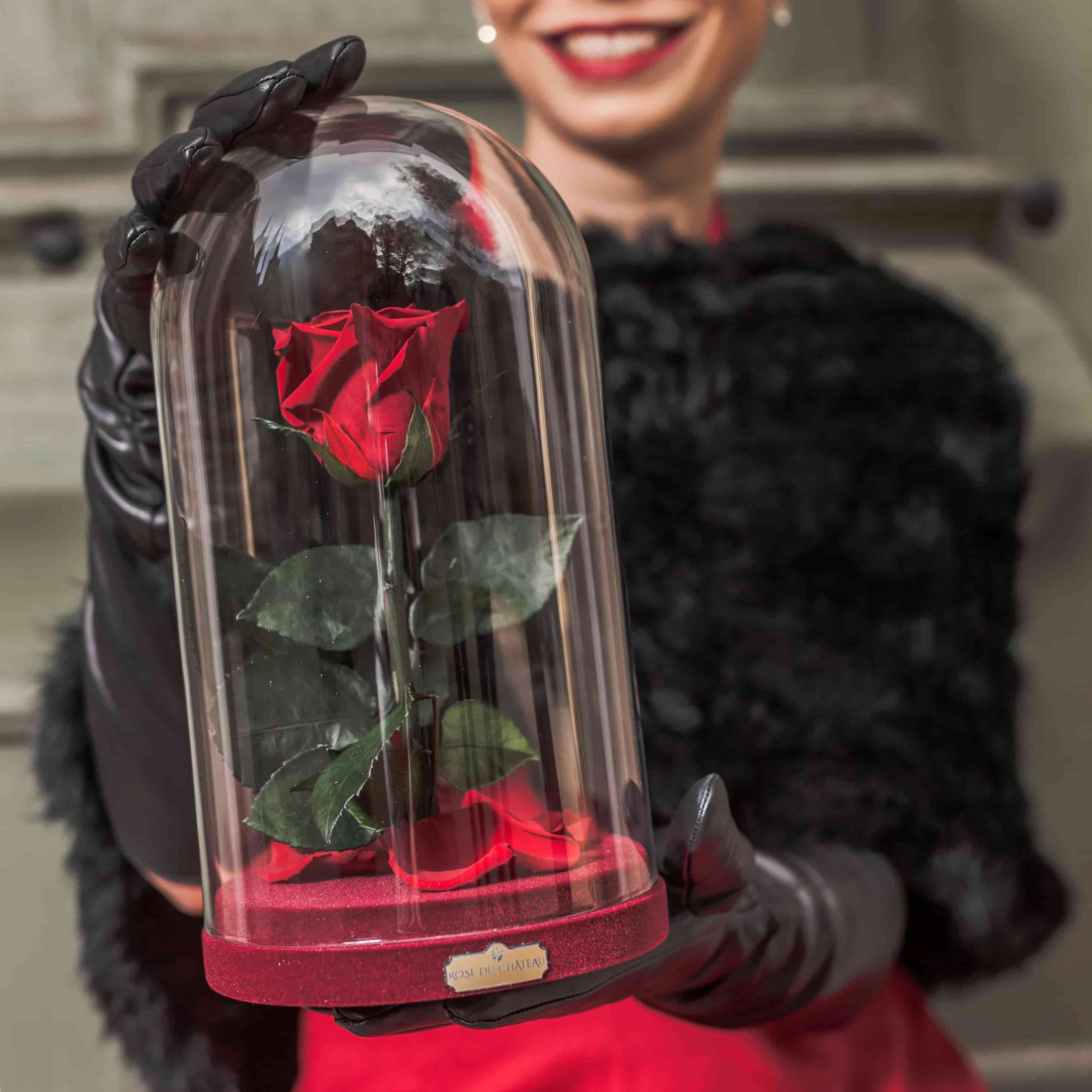 Eisen Schmiede ewige Rose mit Benutzerdefinierte GravurDie Schöne und das Biest Rose mit gefallenen roten Blütenblättern und in Glaskuppel auf Holzgestell 
