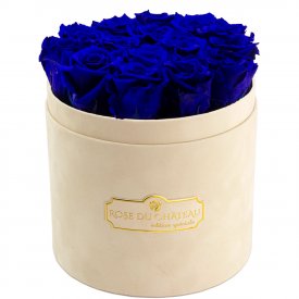 Blaue Ewige Rosen in beigefarbiger Beflockter Rosenbox