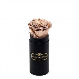 Goldene Ewige Rose in schwarzer Mini Rosenbox
