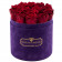 Rote Ewige Rosen in violetter Beflockter Rosenbox
