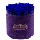 Blaue Ewige Rosen in Violetter Beflockter Rosenbox