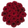 Rote Ewige Rosen in Bordeauxroter Beflockter Rosenbox Large - LOVE EDITION