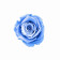 Azurblaue Ewige Rose in COCO BEFLOCKTER Mini Rundbox