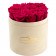 Rosa Ewige Rosen in beigefarbiger Beflockter Blumenbox