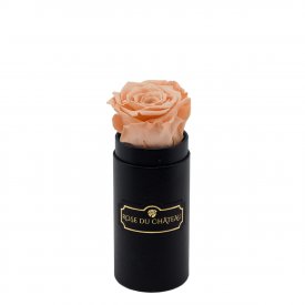 Eternity Peach Rose & Mini Black Flowerbox