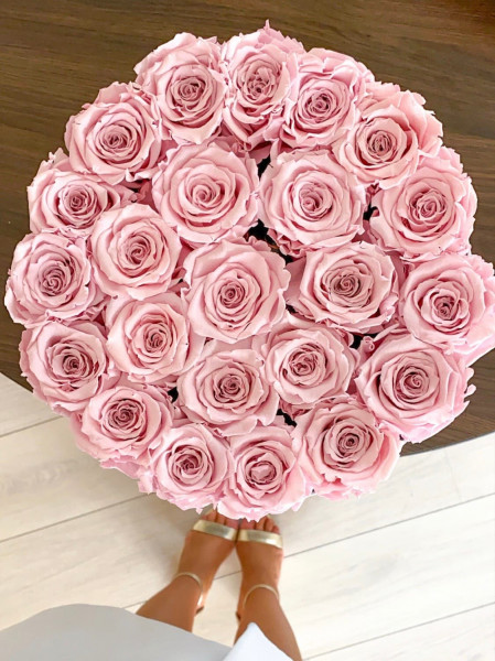 Eternity Pale Pink Roses & Large Black Flocked Flowerbox