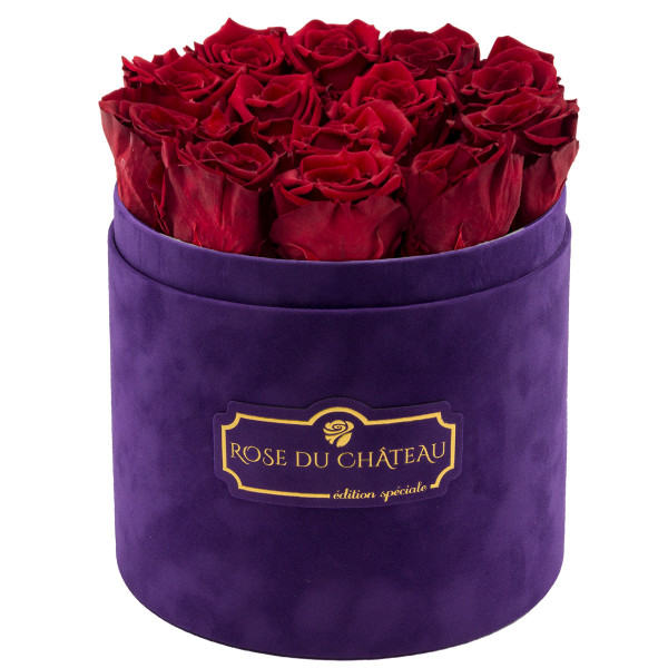 Eternity Red Roses & Violet Flocked Flowerbox