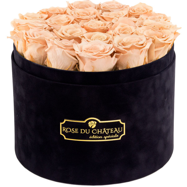 Eternity Peach Roses & Large Black Flocked Flowerbox