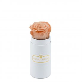 Eternity Peach Rose & Mini White Flowerbox