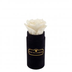 Eternity White Rose & Mini Black Flocked Flowerbox