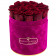 Eternity Red Roses & Fuchsia Flocked Flowerbox