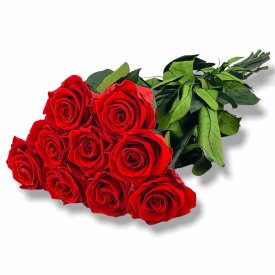 9 roses éternelles rouges - 50 cm