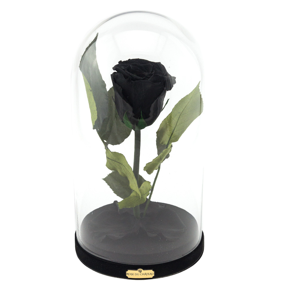 Rose Eternelle Noire La Belle & La Bête | Boutique de fleurs en ligne Rose  du Château