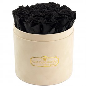 Roses Éternelles Noires Dans Une Flowerbox Beige Floquee