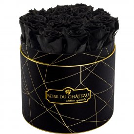 Roses Éternelles Noires Dans Une Flowerbox Noir Industriel