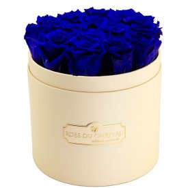 Roses Eternelles Bleues Dans Une Flowerbox Pêche