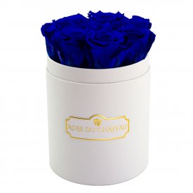 Roses Éternelles Bleues Dans une Petite Flowerbox Blanche