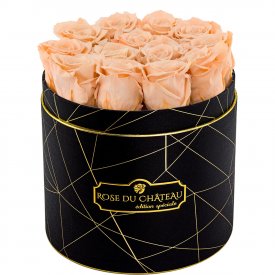 Roses Éternelles Herbées Dans Une Flowerbox Noir Industriel