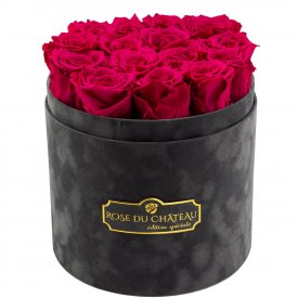 Roses Éternelles Roses Dans Flowerbox Anthracite Floquée 