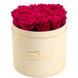 Roses Éternelles Roses Dans Une Flowerbox Pêche