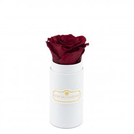 Rose Éternelle Rouge Dans Une Mini Flowerbox Blanche