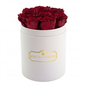 Roses Éternelles Rouges Dans une Petite Flowerbox Blanche